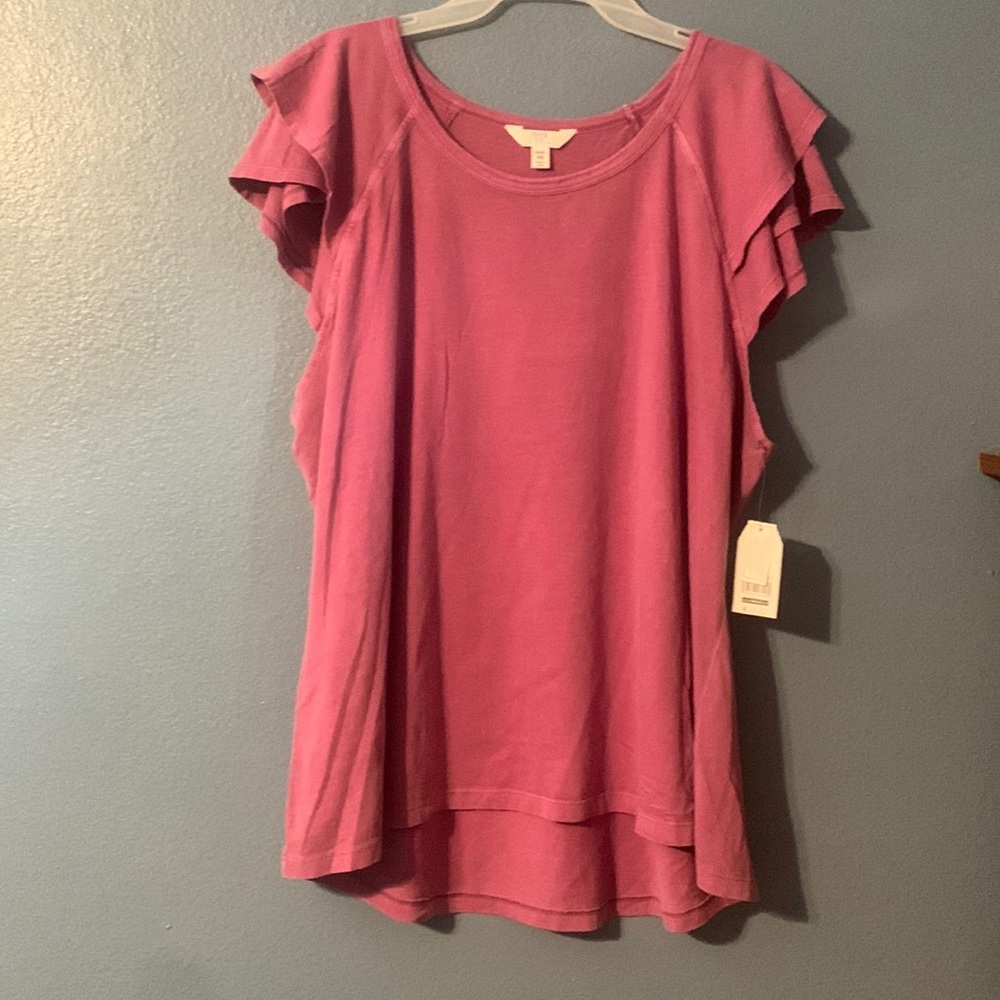 2 for $15❤️HP❤️🥰 Adorable NWT short sleeved shirt